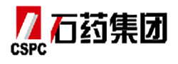 合作单位